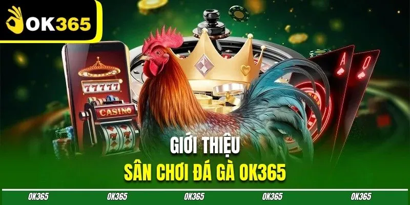 Giới Thiệu Đôi Nét Về Đá Gà OK365